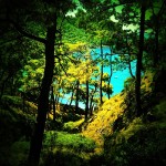 Another Kabak Bay Photo